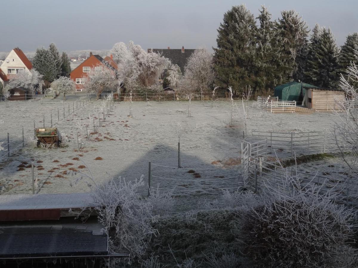 Ferienwohnung Gruenewaldstrasse 22 Bünde Exteriér fotografie